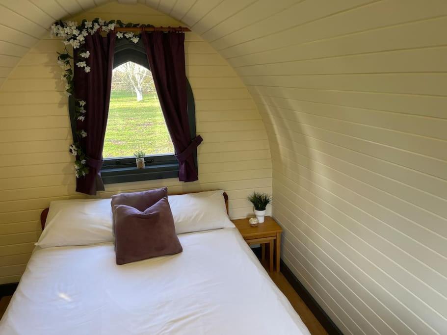 Belle Vista Glamping & Camping Hotel York Exterior foto