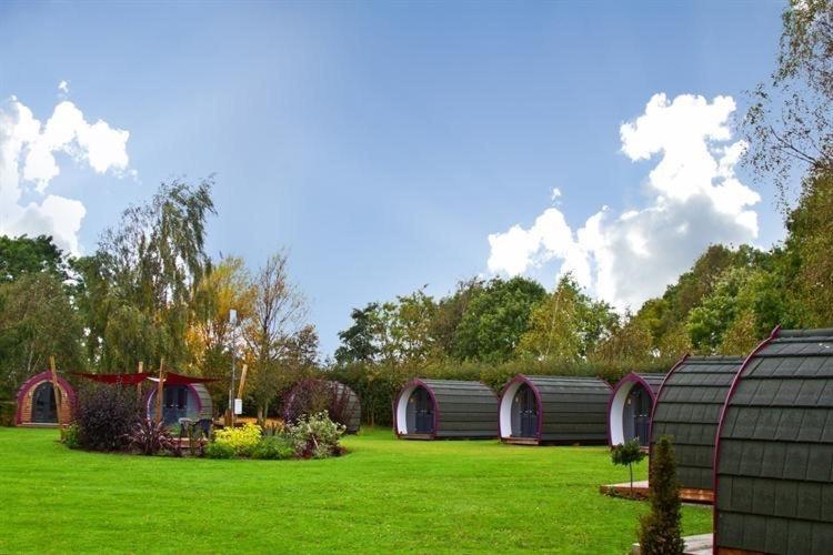 Belle Vista Glamping & Camping York Exterior foto